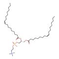 1,2-Dioleoyl-sn-glycero-3-phosphocholine