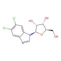 5,6-Dichlorobenzimidazole riboside