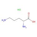 D-Ornithine hydrochloride