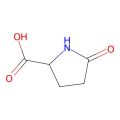 DL-Pyroglutamic acid