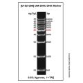 DM-20Kb DNA Marker