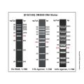 DM5000 DNA Marker