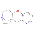 Dianicline,α4β2nAChR部分激动剂