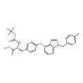 葡聚糖酶 来源于Chaetomium erraticum