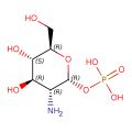 α-D-氨基葡萄糖1-磷酸