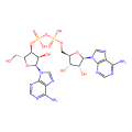 diadenosine diphosphate