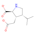 dihydrokainate