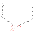 dioleoylphosphatidic acid