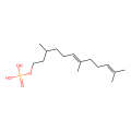 dolichol phosphate