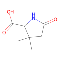 3,3-dimethyl-5-oxopyrrolidine-2-carboxylic acid