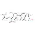 Dehydrotumulosic acid