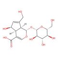 Deacetylasperulosidic Acid