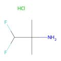 1,1-difluoro-2-methylpropan-2-amine hydrochloride