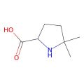 5,5-dimethylpyrrolidine-2-carboxylic acid