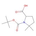 1-(叔丁氧羰基)-5,5-二甲基吡咯烷-2-羧酸