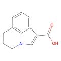 5，6-二氢-4H-吡咯并[3，2，1-IJ]喹啉-1-羧酸