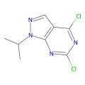 4，6-二氯-1-异丙基-1H-吡唑并[3，4-d]嘧啶