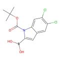 1-Boc-5，6-二氯-1H-吲哚-2-硼酸