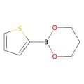2-(噻吩-2-基)-1,3,2-二氧硼杂环己烷