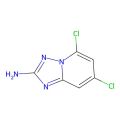 5，7-二氯-[1，2，4]三氮唑并[1，5-a]吡啶-2-胺