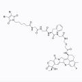 DBM-GGFG-NH-O-CO-Exatecan