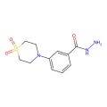 3-(1,1-Dioxo-1lambda~6~,4-thiazinan-4-yl)benzenecarbohydrazide