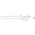 18:0 EPC (Cl Salt)