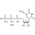 5-乙炔基-UTP（5-EUTP）（水溶液）