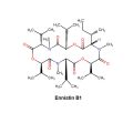 恩镰孢菌素 B1