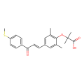 Elafibranor