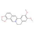 Epiberberine