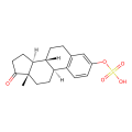 estrone-3-sulphate