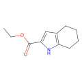 ethyl 4,5,6,7-tetrahydro-1H-indole-2-carboxylate