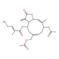 Eupalinolide A