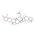 23-epi-26-Deoxyactein