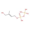 (2E)-4-hydroxy-3-methylbut-2-en-1-yl trihydrogen diphosphate
