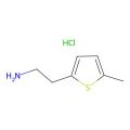 2-(5-甲基-2-噻吩基)乙胺盐酸盐