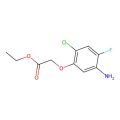 Ethyl 2-(5-aMino-2-chloro-4-fluorophenoxy)acetate