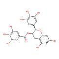 (-)-Epigallocatechin-3-(3''-O-methyl) gallate