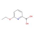 6-Ethoxypyridine-2-boronic acid