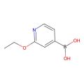 2-乙氧基吡啶-4-硼酸