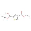 5-(4，4，5，5-四甲基-1，3，2-二氧杂硼杂环戊烷-2-基)噻吩-3-羧酸乙酯