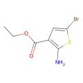 2-氨基-5-溴噻吩-3-甲酸乙酯