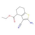 2-氨基-3-氰基-4,5,6,7-四氢苯并[b]噻吩-4-羧酸乙酯