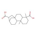 ent-kaurane-17,19-dioic acid