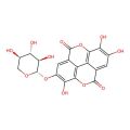 Ellagic Acid 4-O-Xylopyranoside