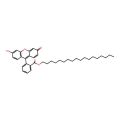 Fluorescein octadecyl ester