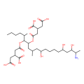 伏马毒素 B1-13C34