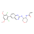 Fisogatinib (BLU-554)