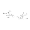 FAPI-4 TFA盐